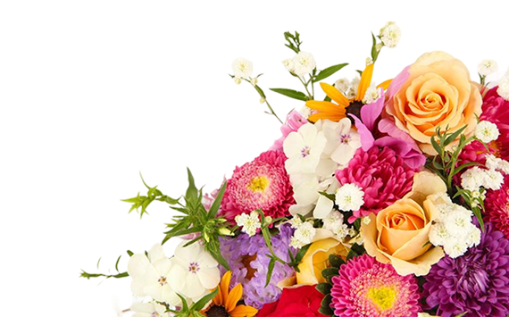flower-image